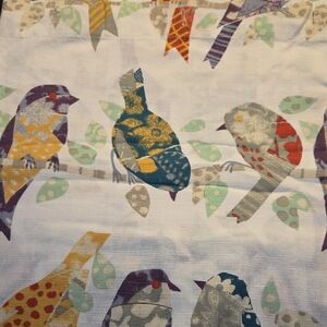 Cost Plus World Market Colorful Bird Shower Curtain
